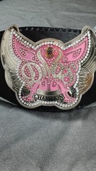 Divas Women’s World Wrestling Championship Belt Adult Size Replica Title 2mm 4m