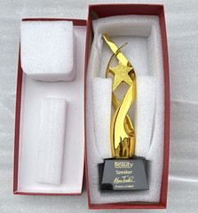 Beauty Pageant Speaker Trophy Gold Tone Metal Pre-Engraved, 10.5in Black