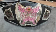 Divas Women’s World Wrestling Championship Belt Adult Size Replica Title 2mm 4m