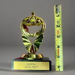 5” Trophy With Jack-O-Latern Head And Bat Wings