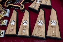 Personalised Award/ Engraved Custom Plaque/ Trophy/ Award/ Cup/ Wooden Trophy