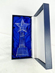 Anson Rising Star Award Crystal Glass Trophy Paperweight in Box 8.5″ Tall