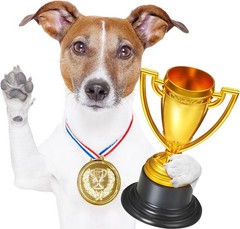 3 Pcs Mini Trophies, Gold Plastic Tiny Small Trophy Cups Winner Awards for Ki…