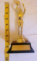 Parks & Rec 1987 1988 Participant Basketball Trophy Vintage 8 in Free Shipping