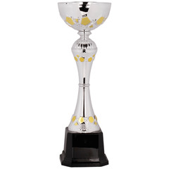 Silver & Gold Completed Metal Cup Trophy 10 3/4 Custom Engraving Included