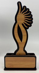 Awards and Trophy for Winner, Beautiful Black and Bamboo-12 Pack