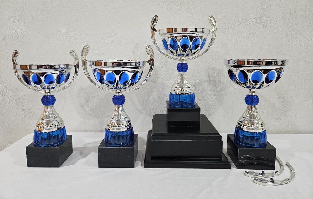 Set of 4 trophy award sport competition challenge game event blue silver black