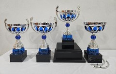Set of 4 trophy award sport competition challenge game event blue silver black