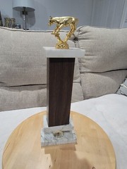 VTG 16″ 1970’s Little Britches Championship SR. Calf Roping Rodeo Award Trophy