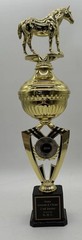 Large Gold Horse Trophy Award State Groom & Clean 2nd Junior 2016 Equine
