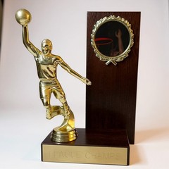 wood basketball Trophy