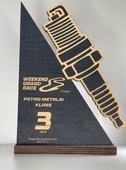 Personalised Award/ Engraved Custom Plaque/ Trophy/ Award/ Cup/ Wooden Trophy