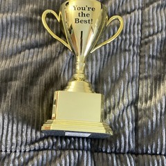 Paper Riot Co. Gold Plastic Trophy Cup ‚You’re the Best!‘ 7.13in 053240436