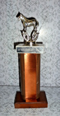 VINTAGE QUARTER HORSE SHOW THOPHY 1972 11″ TALL 1ST PLACE BURLEIGH’S ARENA