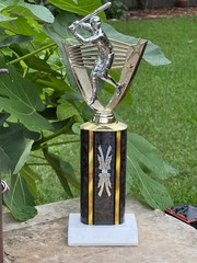 13″ Baseball Trophy All-Star-MVP –Silver Slugger Marble -Engraving & Free Ship