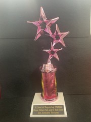 6 1/2” Pink Star Trophy With 3” Post. (Please See All Photos)