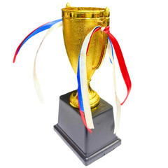 Shinning Gold Cup Trophy with Decorative Ribbons, Black Base || Logo Printing