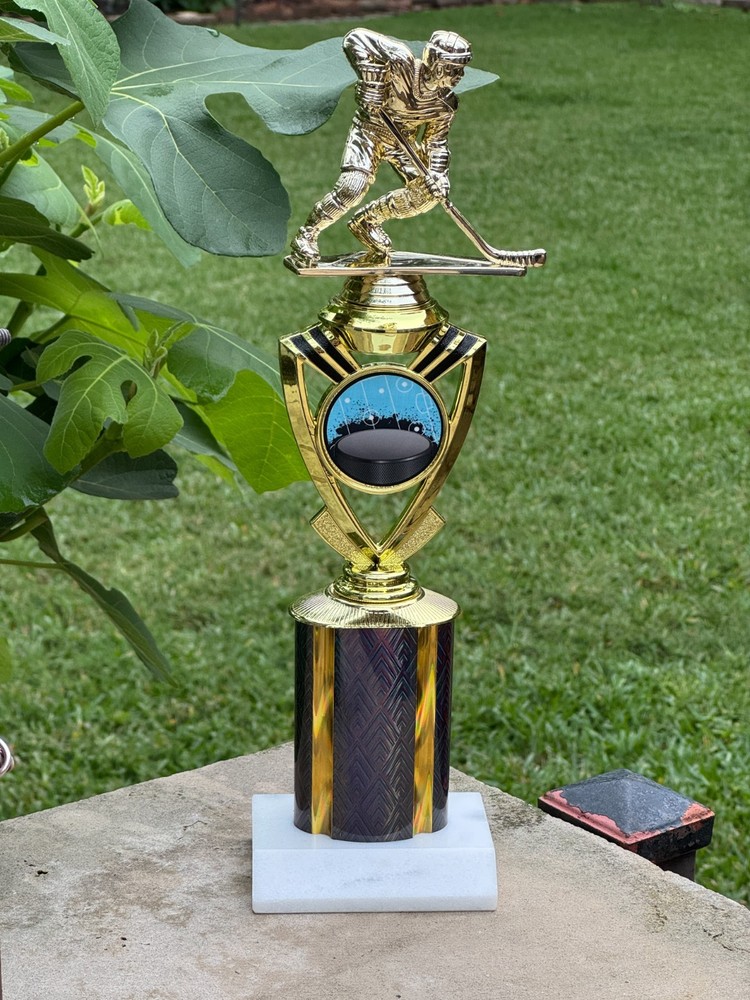 All-Star- Ice Hockey Trophy –MVP – Offense/Defense-Free Shipping & Engraving 14″