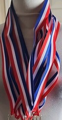 10 Pcs Red White and Blue Triangle Hook Ribbon Medal Lanyard New and Unused