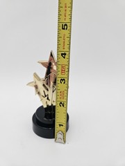 Black & Gold Plastic Trophy, 4 Inches