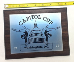 2 Women’s Gymnastics Awards Nation’s Capitol Cup & 1977 USGF Jr Nationals Vintag