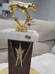 VTG 16″ 1970’s Little Britches Championship SR. Calf Roping Rodeo Award Trophy