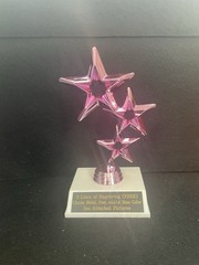 6 1/2″ Pink Star Trophy (Please look at all pictures!)
