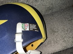 Fantasy Football All-Star Helmet Hat