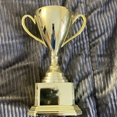 Paper Riot Co. Gold Plastic Trophy Cup ‚You’re the Best!‘ 7.13in 053240436
