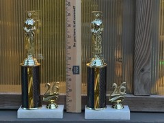 Graduation Trophy Gift Class of ’26 Achievement –FREE Engraving & Shipping 9.5″