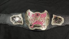 Divas Women’s World Wrestling Championship Belt Adult Size Replica Title 2mm 4m