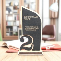 Award – Trophy Award 1st 2nd 3rd Place – 9×5 Inches