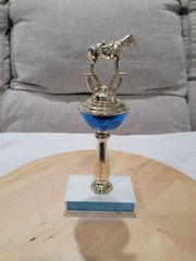Vintage 9.5″ Sr Boy 1975 Calf Roping Rodeo Award Trophy Western Cowboy Horse Cow