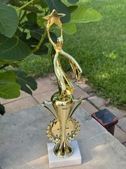Teacher of the Year -Star Trophy -Educator Excellence Recognition Award – Marble