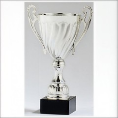 Large Silver Metal Cup Award. Custom Engraved.
