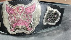Divas Women’s World Wrestling Championship Belt Adult Size Replica Title 2mm 4m