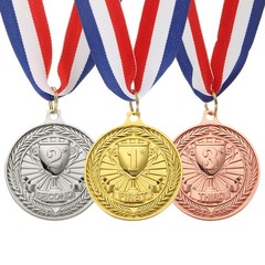 Award Medals, 3 Pcs Zinc Alloy Trophy Medals with Neck Ribbon, Bright Color