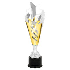 Silver & Gold Star Completed Metal Cup Trophy With a Star Top up to 17/34