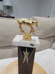 VTG 16″ 1970’s Little Britches Championship SR. Calf Roping Rodeo Award Trophy