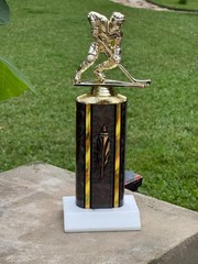 Classic – Ice Hockey Trophy –MVP – Offense/Defense-Free Shipping & Engraving 11″