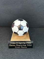 4” Soccer RC Resin Trophy. (Please see all photos!)