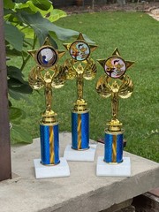 Academic Achievement Trophy Honor Roll & PA 4 Sizes- Free Engraving & Ship