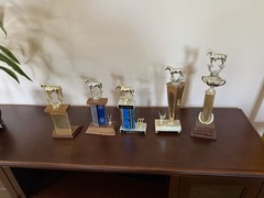 Vintage Lot 5 Horse Trophy, Show Marble Wood Farm Barn Equestrian Gold Tone more