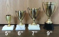 9″ Cup Trophy – Free Engraving