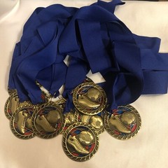 SOCCER Medals 2 1/2″W Gold Lot of 13 Team Award Blue Lanyard FREE Custom Text