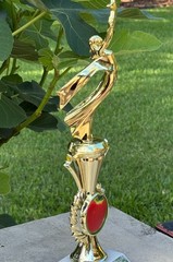 Teacher of the Year -Star Trophy -Educator Excellence Recognition Award – Marble