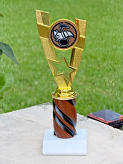 Music Recital Trophy Band -Choir- Student Award- Wood /Marble- Engraving & Ship