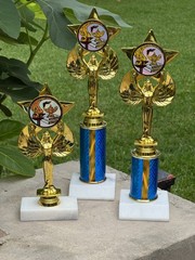Academic Achievement Trophy Honor Roll & PA 4 Sizes- Free Engraving & Ship