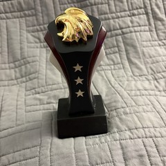 Eagle Head Trophy American Red, White & Blue Stars Award Statue Decor – Blank