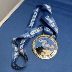 2015 Conquer the Overlook 282 Step Climb Silver Medal Blue Satin Ribbon